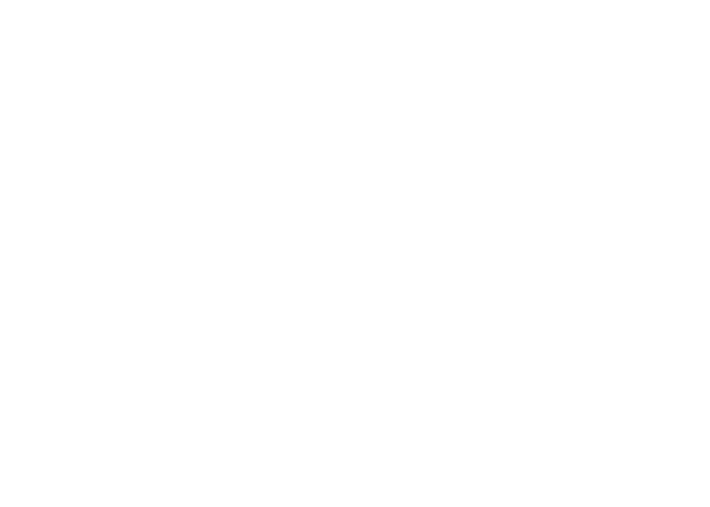 VNET RACING TEAM